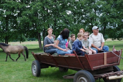 Wizyta w Stadninie Koni KLUCZ