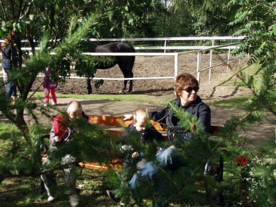 Radosne Maluchy w Stadninie Koni Ławra
